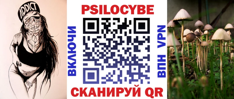 гидра как зайти  Камень-на-Оби  Псилоцибиновые грибы Psilocybine cubensis 