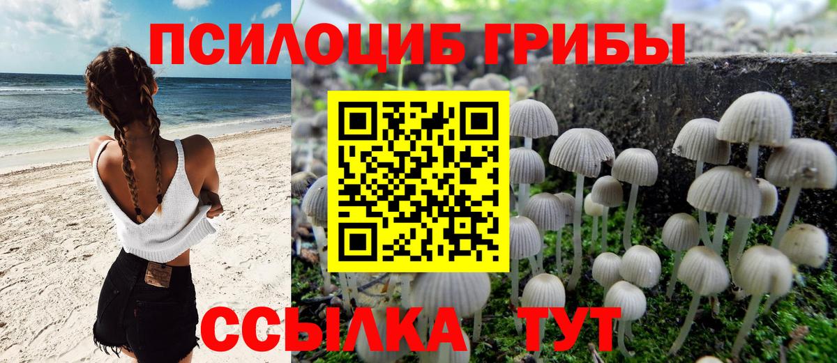 Галлюциногенные грибы MAGIC MUSHROOMS Камень-на-Оби