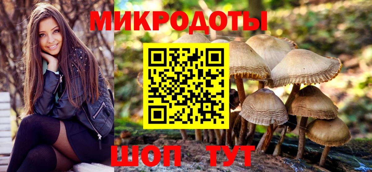 Камень-на-Оби  Псилоцибиновые грибы мухоморы  Вход с VPN 